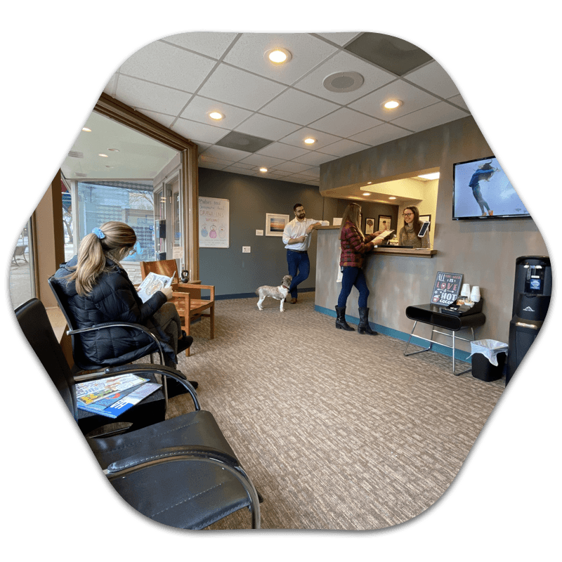 Chiropractic Berkley MI What to Expect Chiropractic Berkley MI What to Expect